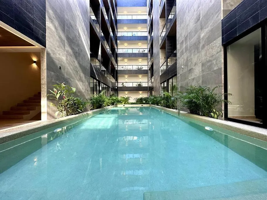 Musa Del Carmen 309 - Rooftop Pool View & Sky Bar By Solmar Rentals Playa del Carmen 0*,  Mexico